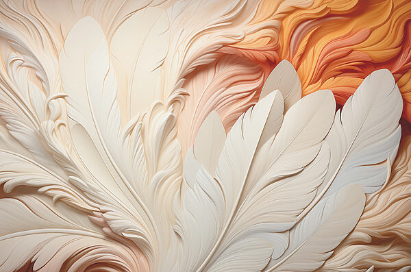 A close up of feathers A close up of feathers