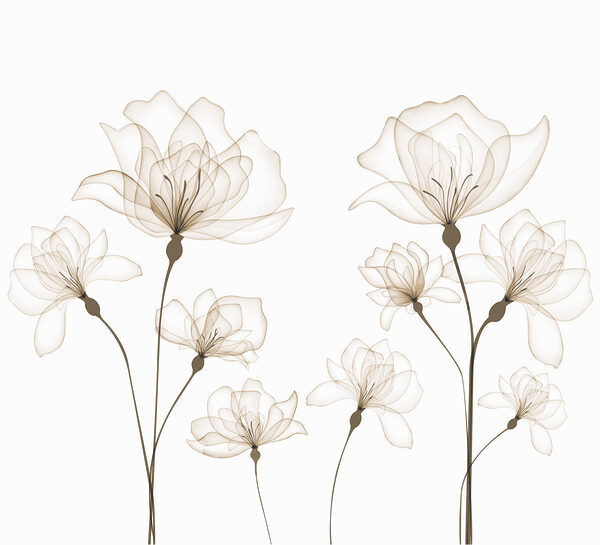 A group of flowers with stems
