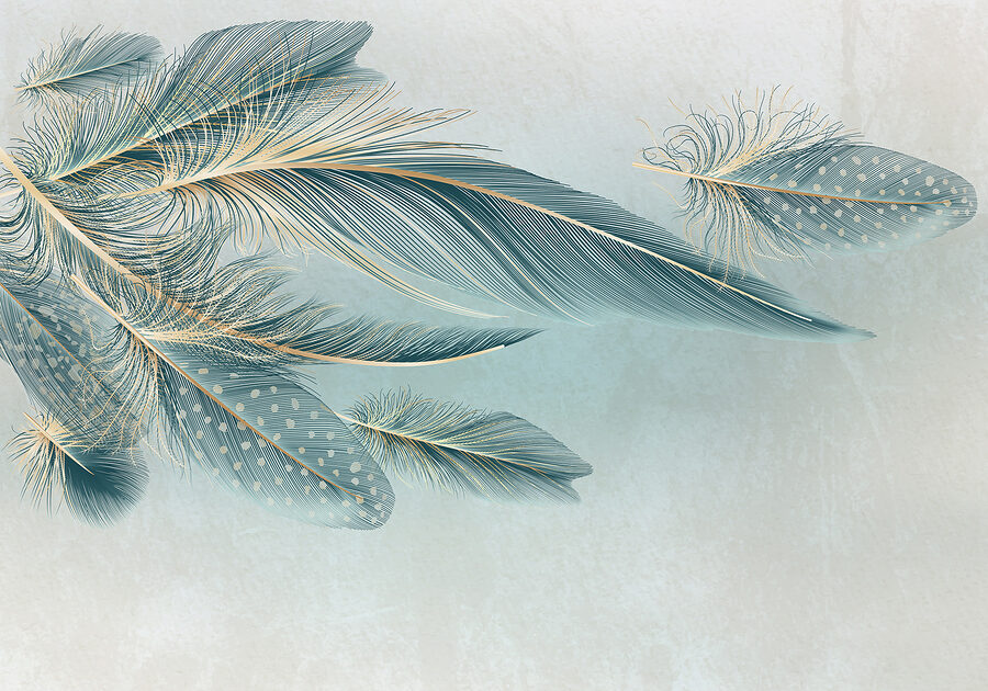 A group of feathers on a white background A group of feathers on a white background