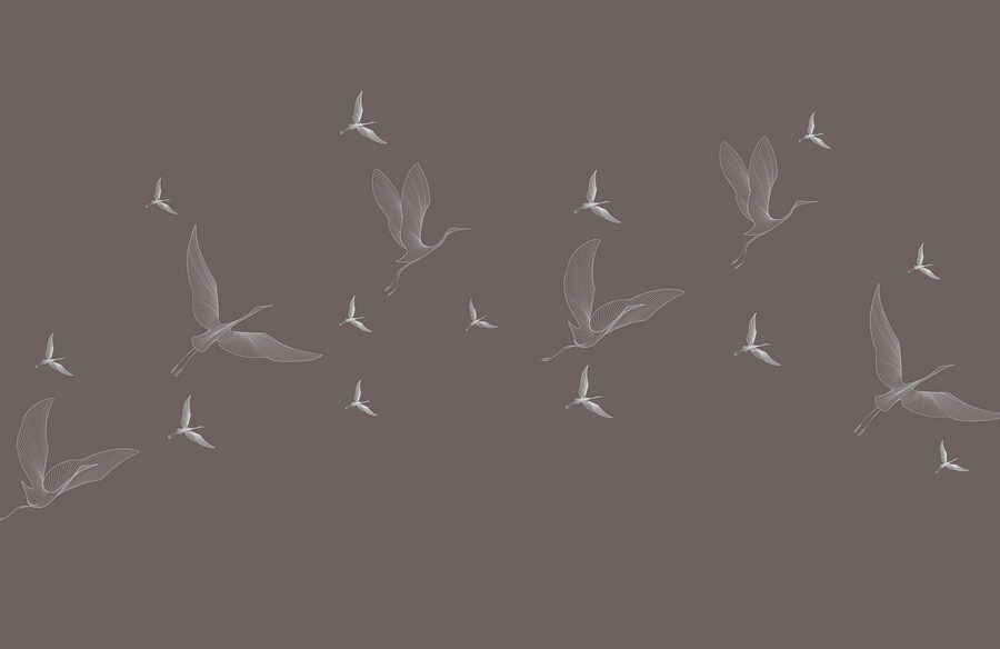 A flock of birds flying A flock of birds flying