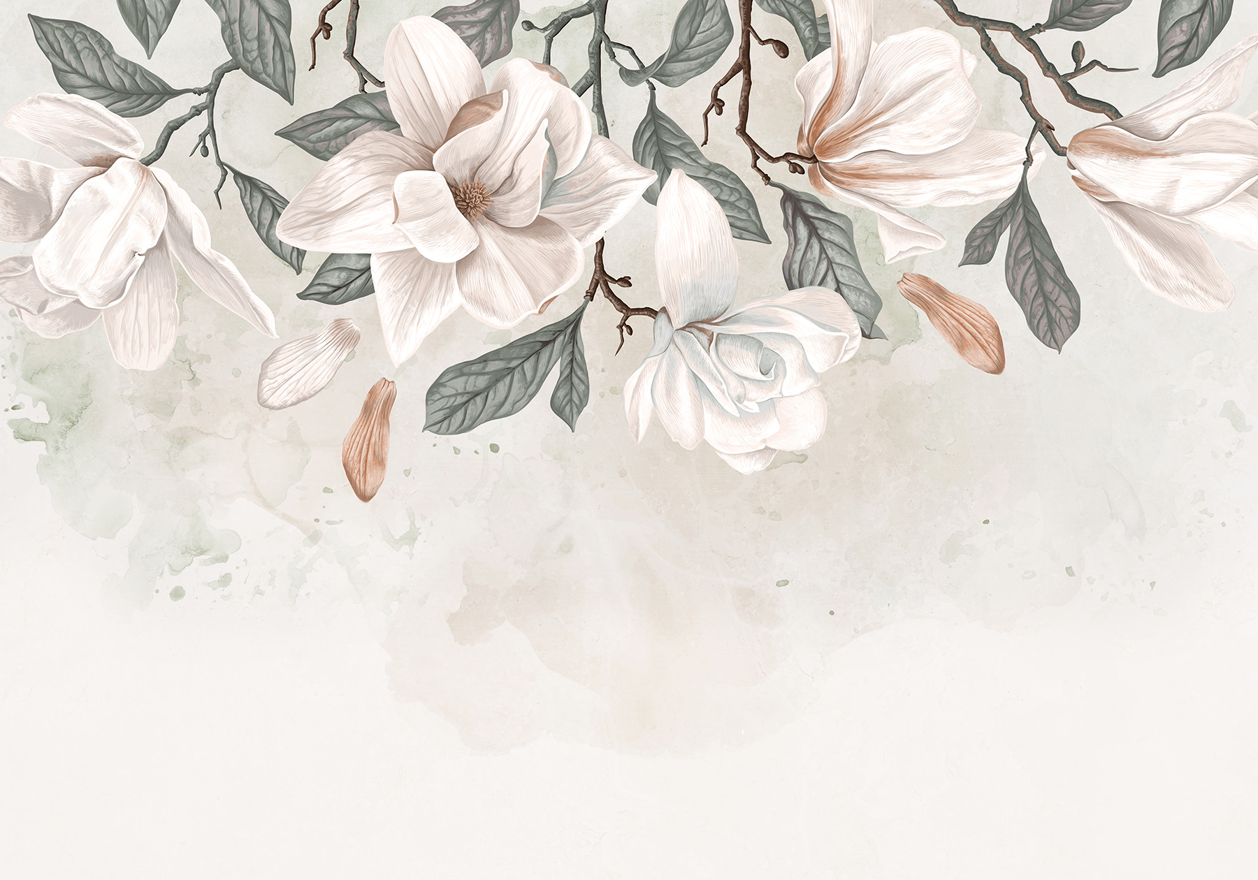 White flowers and leaves on a white background