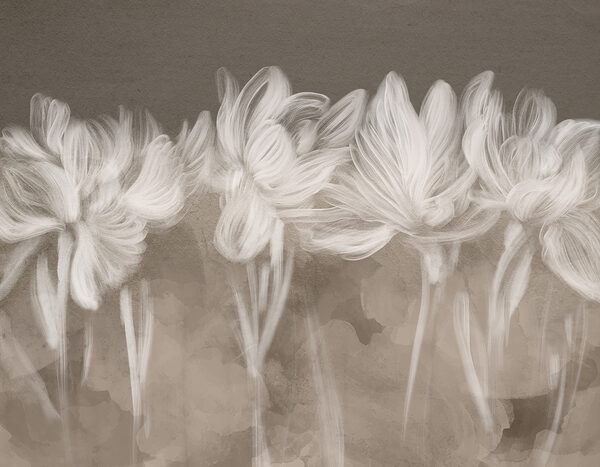 Group of white flowers Group of white flowers