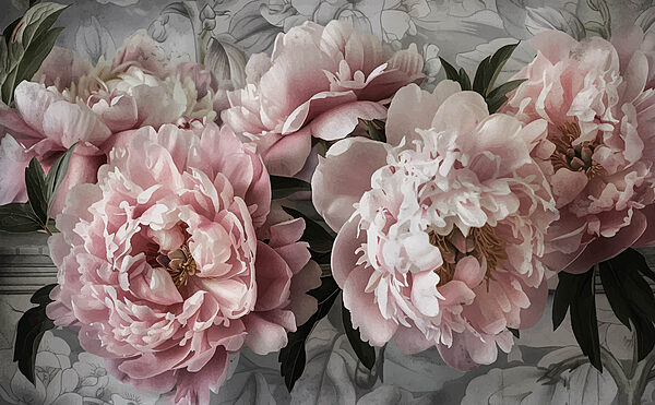 Group of pink flowers