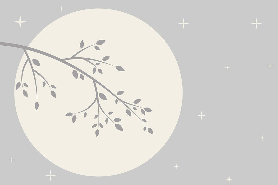 Tree branch with leaves on it