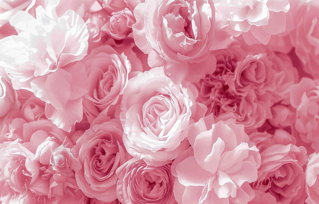 Group of pink flowers Group of pink flowers