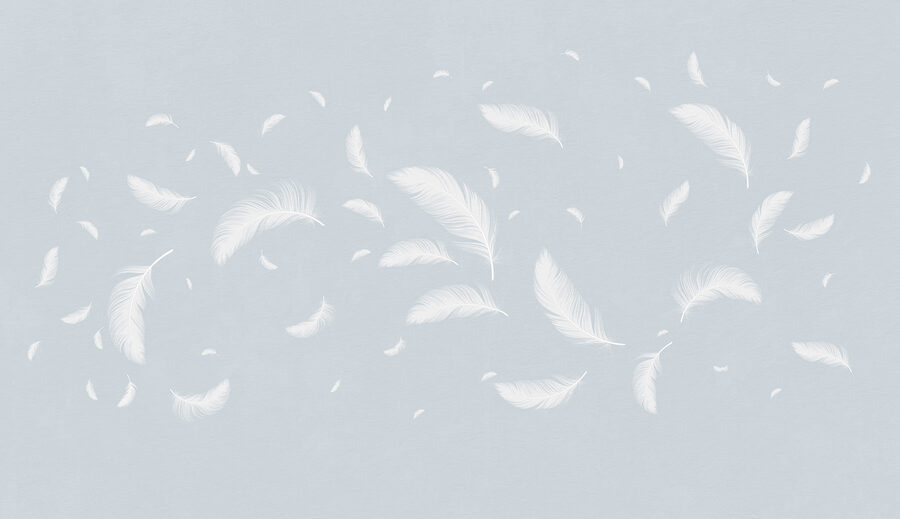 White feathers floating in the air White feathers floating in the air