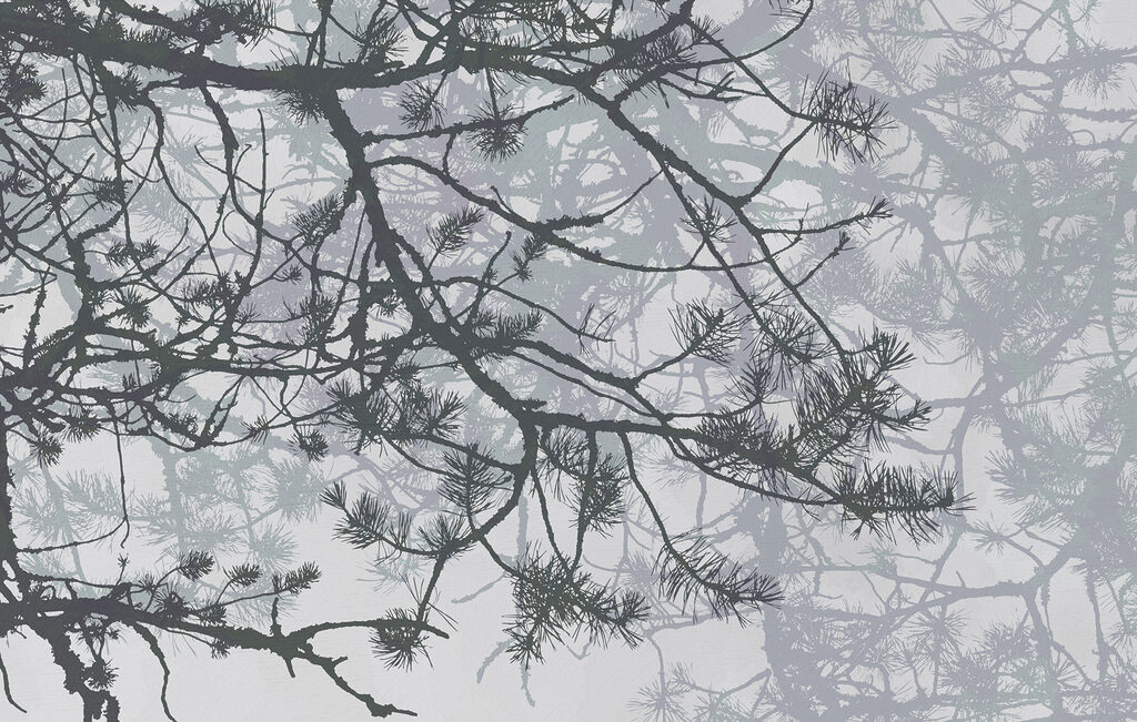 Tree branches with needles Tree branches with needles