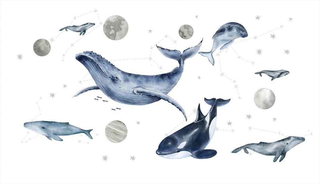 Group of whales and fish Group of whales and fish