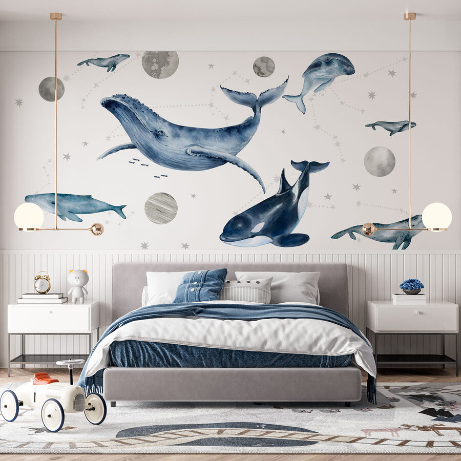 Group of whales and fish