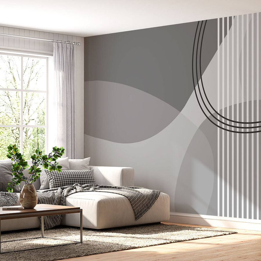 Wall murals Grey and white background with circles and lines - Image 2