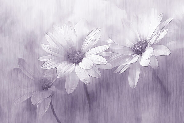 Close up of flowers