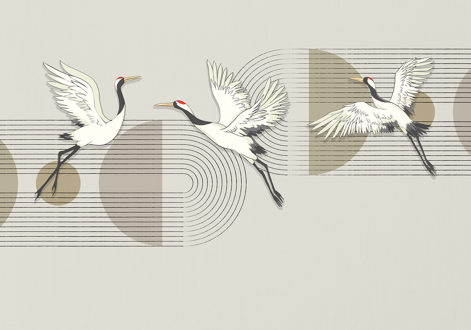 Group of birds flying over music notes Group of birds flying over music notes