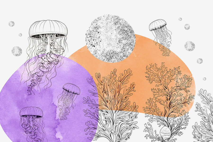 Wall murals Drawing of jellyfish and seaweed - Image 3