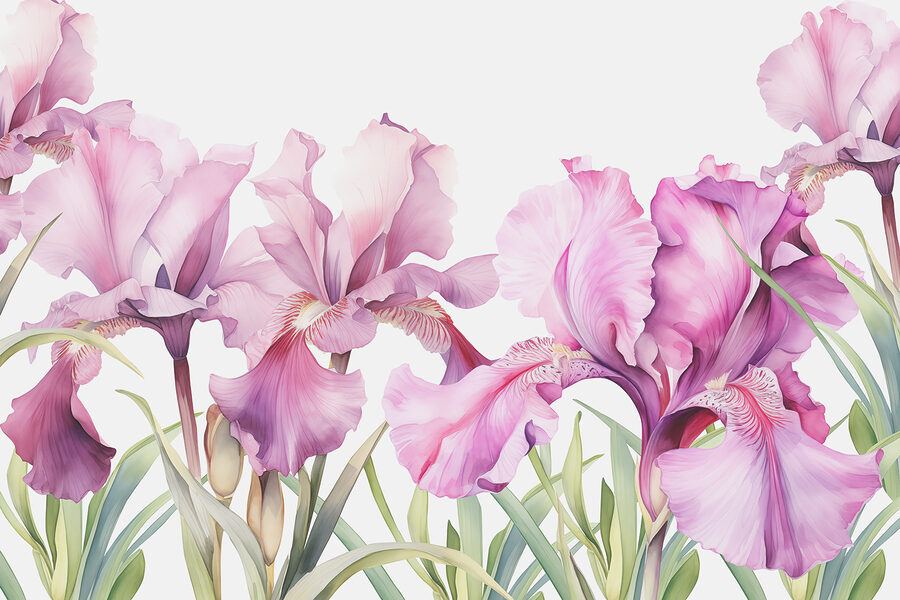 Row of purple flowers