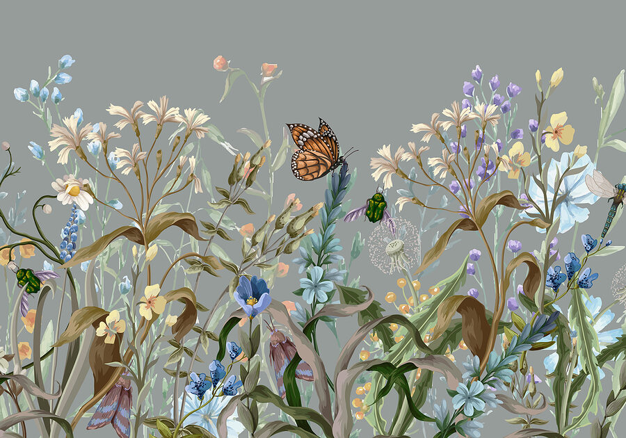 Butterfly on a flower