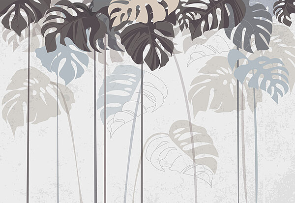 Group of leaves on a white background