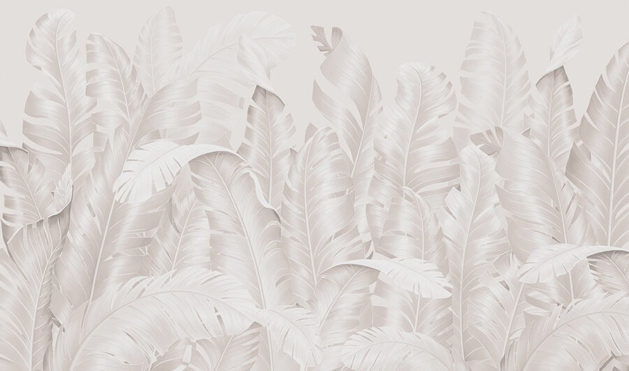 Group of white feathers Group of white feathers