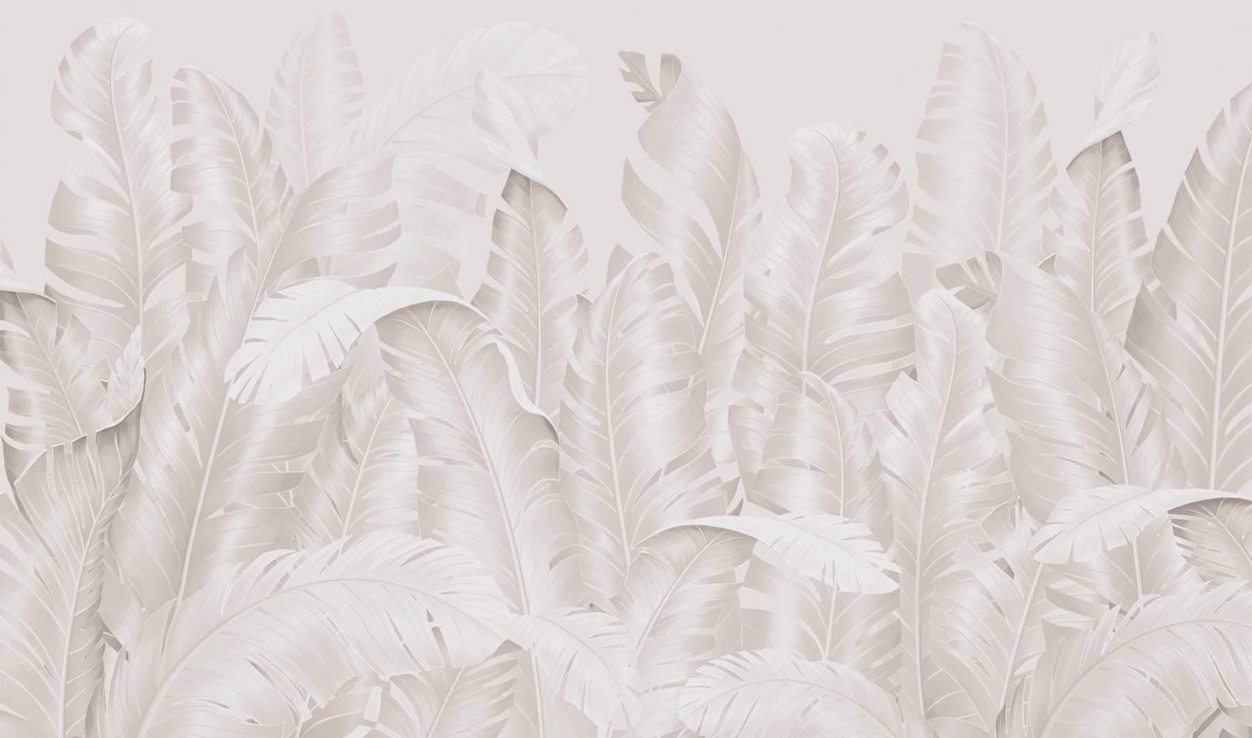 Group of white feathers Group of white feathers