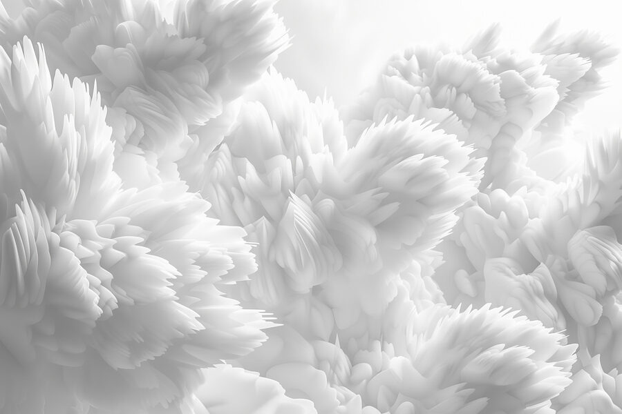 Wall murals Close up of white fluffy objects - Image 6