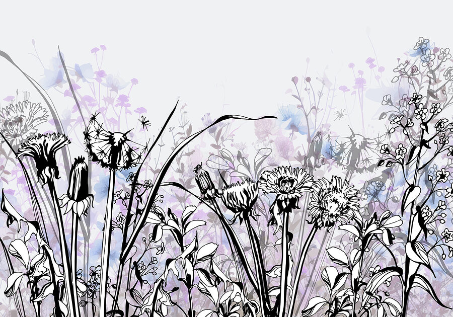 Wall murals Delicate floral silhouettes in soft tones. - Image 8