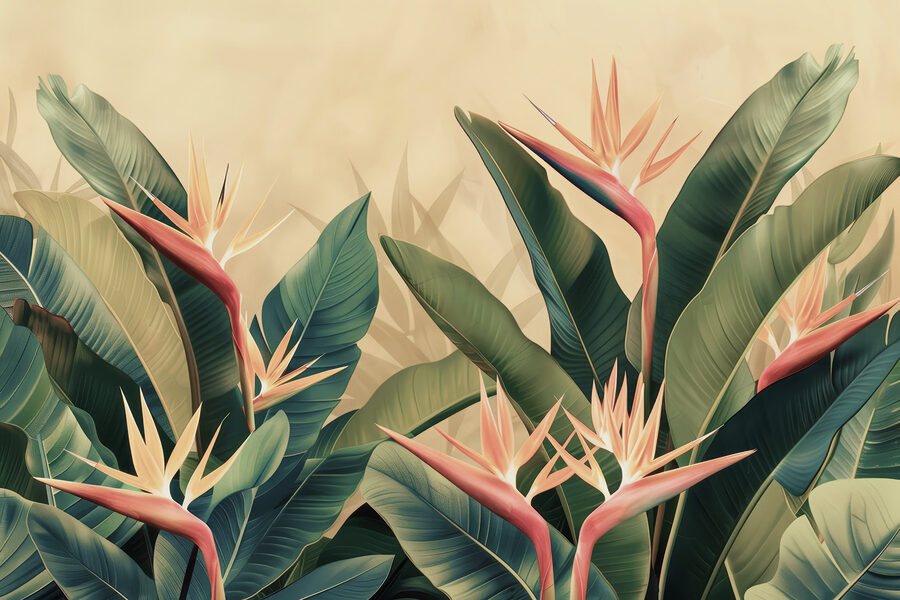 Close up of a plant