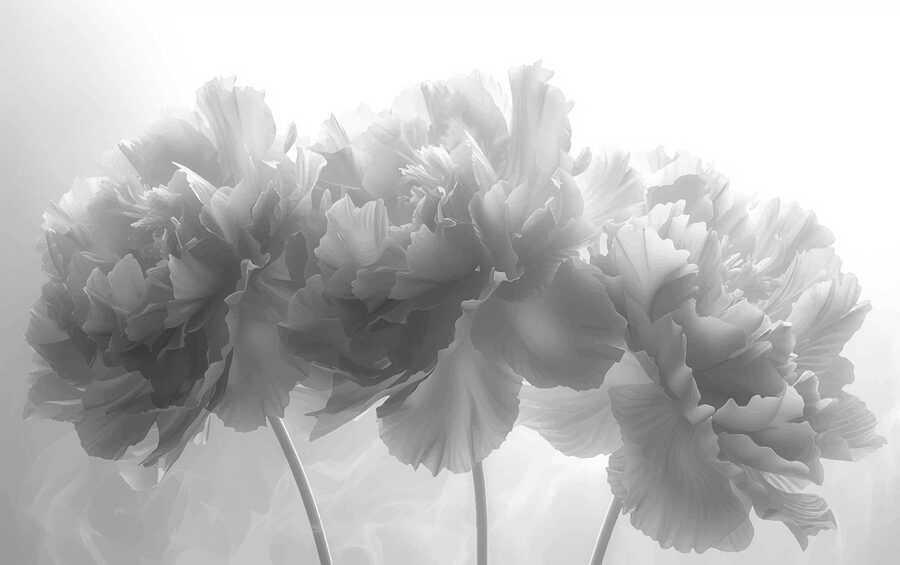 Group of flowers in a white background
