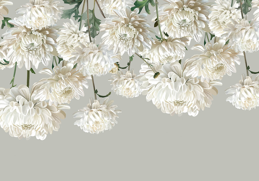 Wall murals Group of white flowers - Image 7