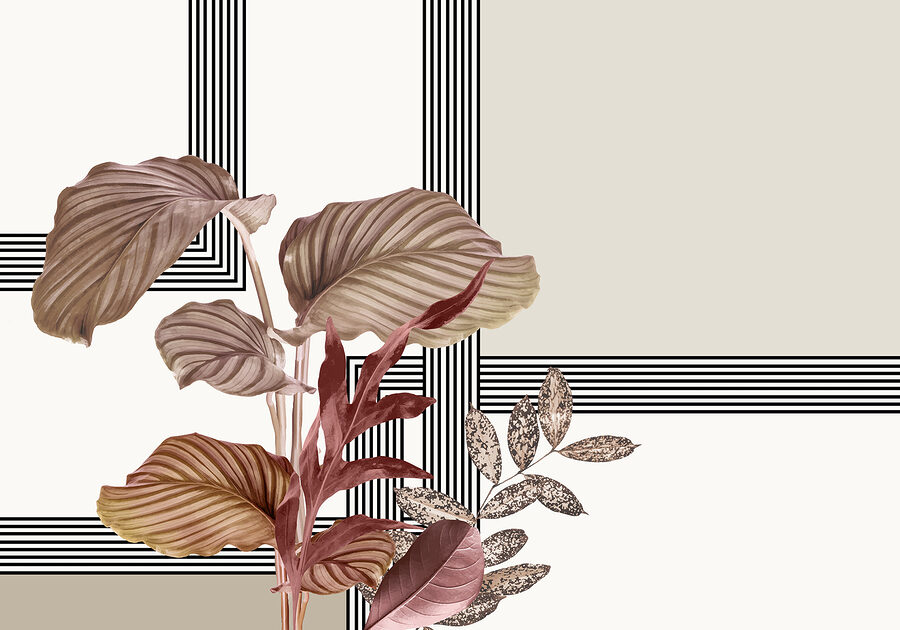 Plant with brown leaves
