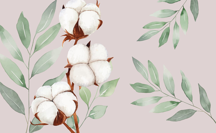 Cotton flowers and leaves