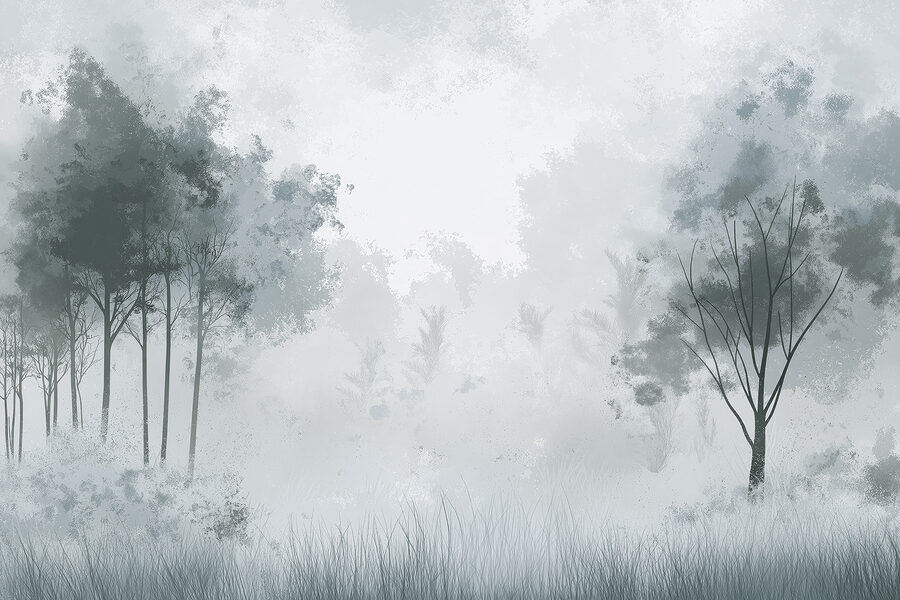 Wall murals Foggy forest with trees - Image 5