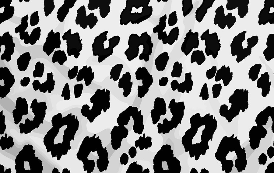 Wall murals Close up of a black and white animal skin - Image 4