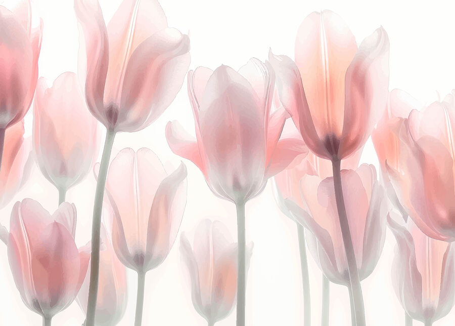 Group of pink flowers