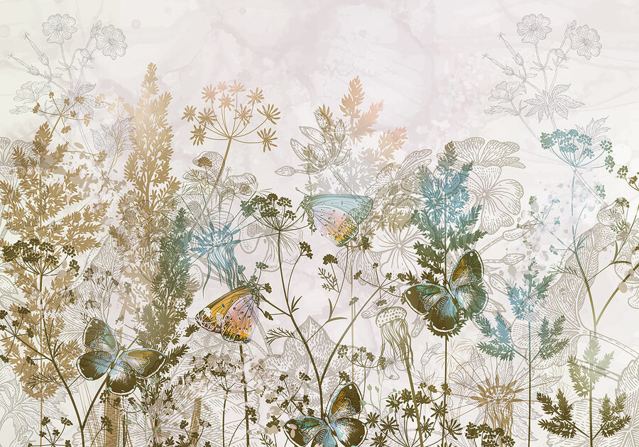 Butterflies on a plant