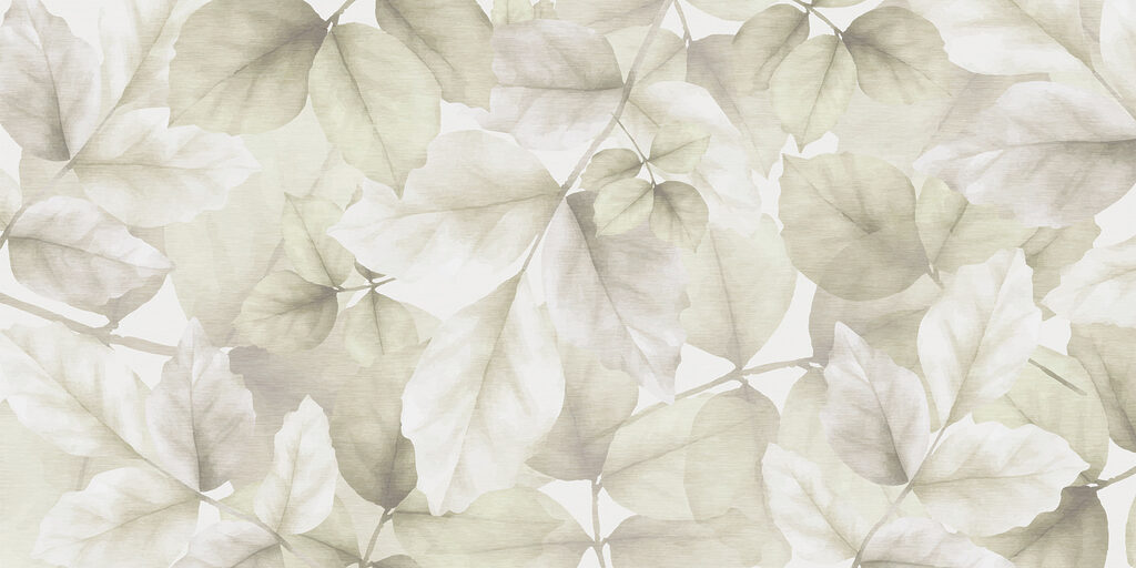 Close up of leaves Close up of leaves