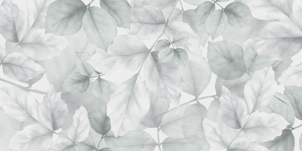 Close up of leaves