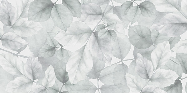 Close up of leaves