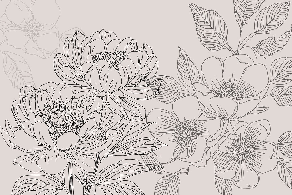 Drawing of flowers and leaves Drawing of flowers and leaves