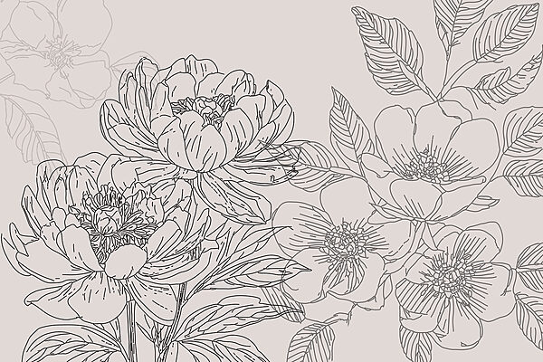 Drawing of flowers and leaves Drawing of flowers and leaves