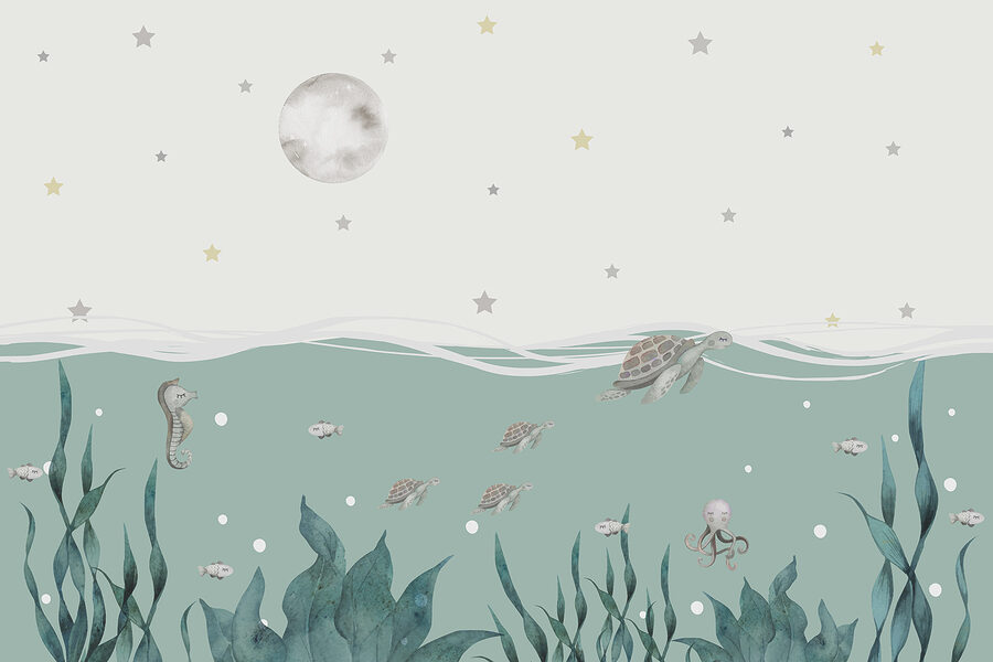 Seaweed and seahorses under the water Seaweed and seahorses under the water