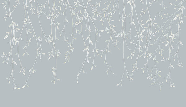 White branches with leaves on them White branches with leaves on them
