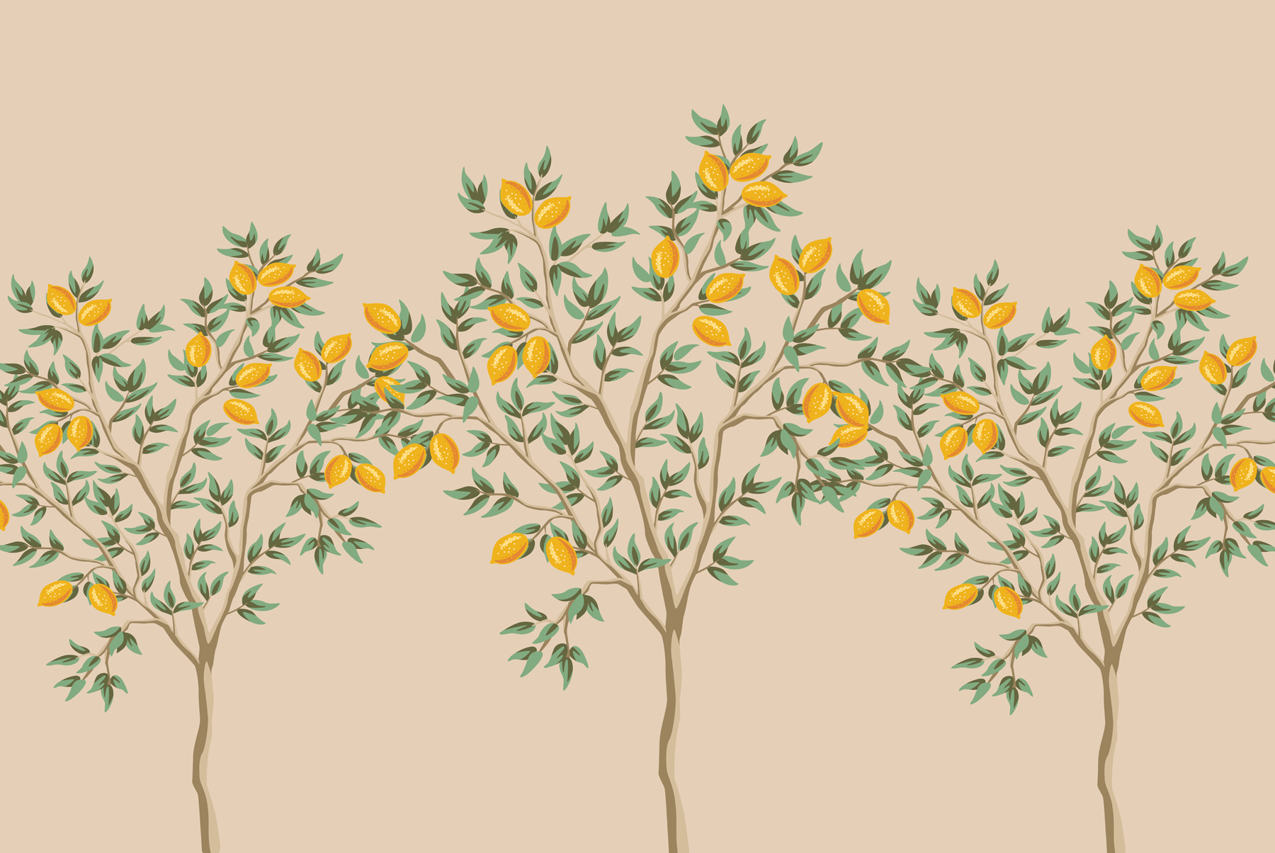 Tree with fruits on it Tree with fruits on it