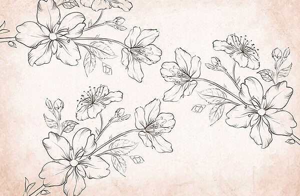 Drawing of flowers on a white background Drawing of flowers on a white background