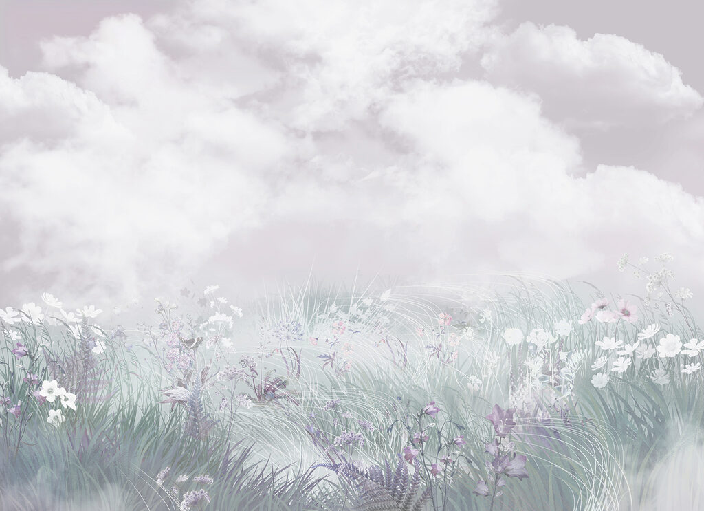 Field of flowers and grass Field of flowers and grass