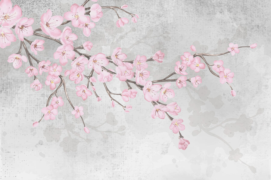 Wall murals Branch with pink flowers - Image 4