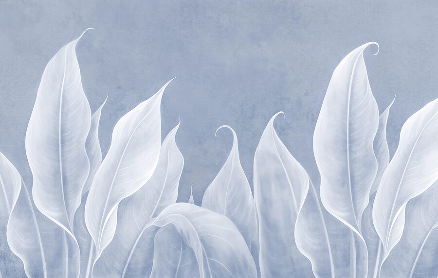 Close up of leaves