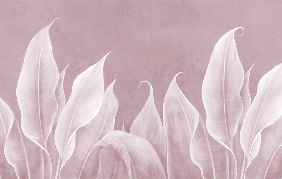 Close up of leaves