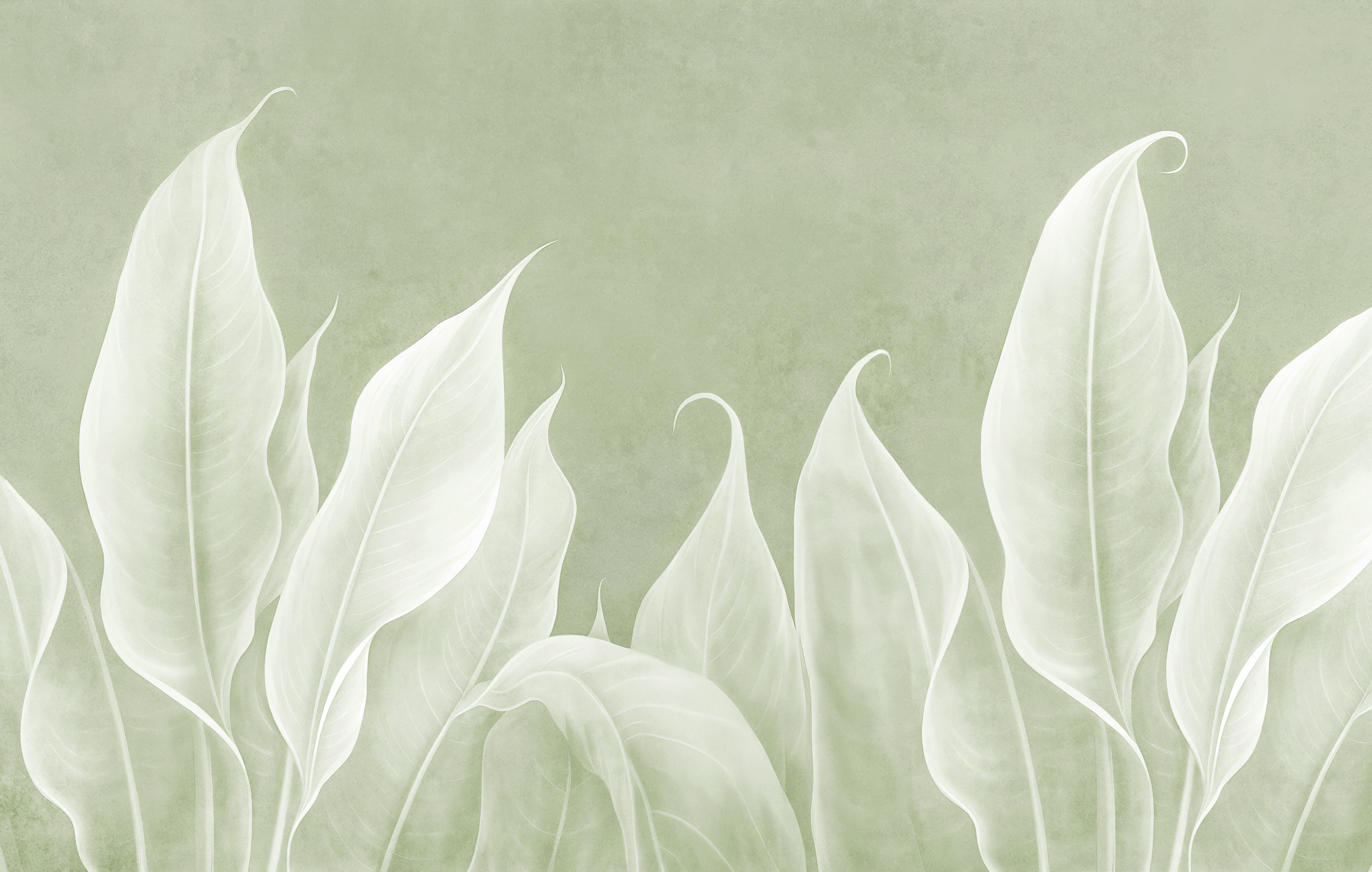 Close up of leaves