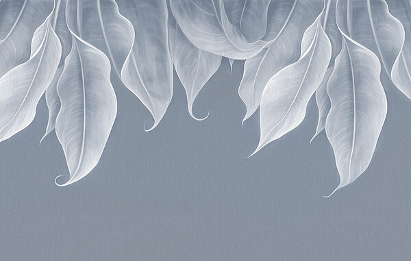 Close up of leaves