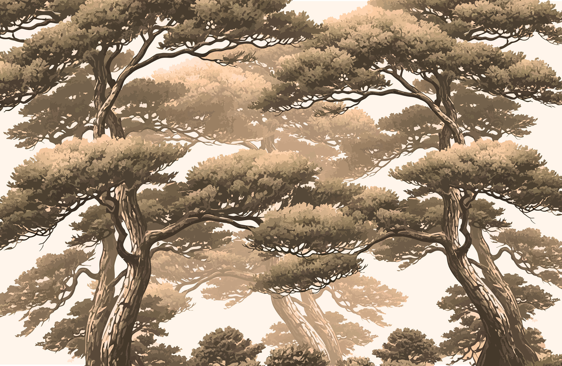 Group of trees with branches