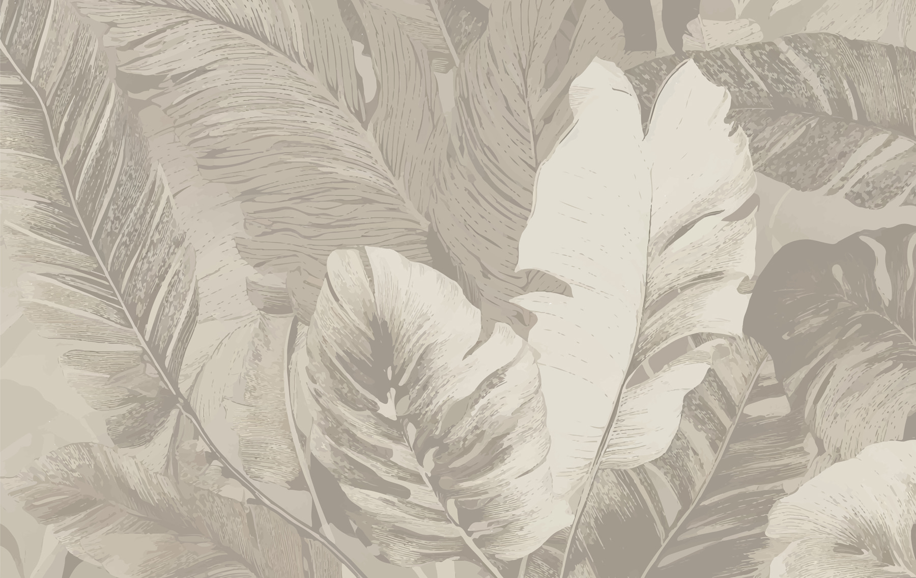 Close up of leaves Close up of leaves